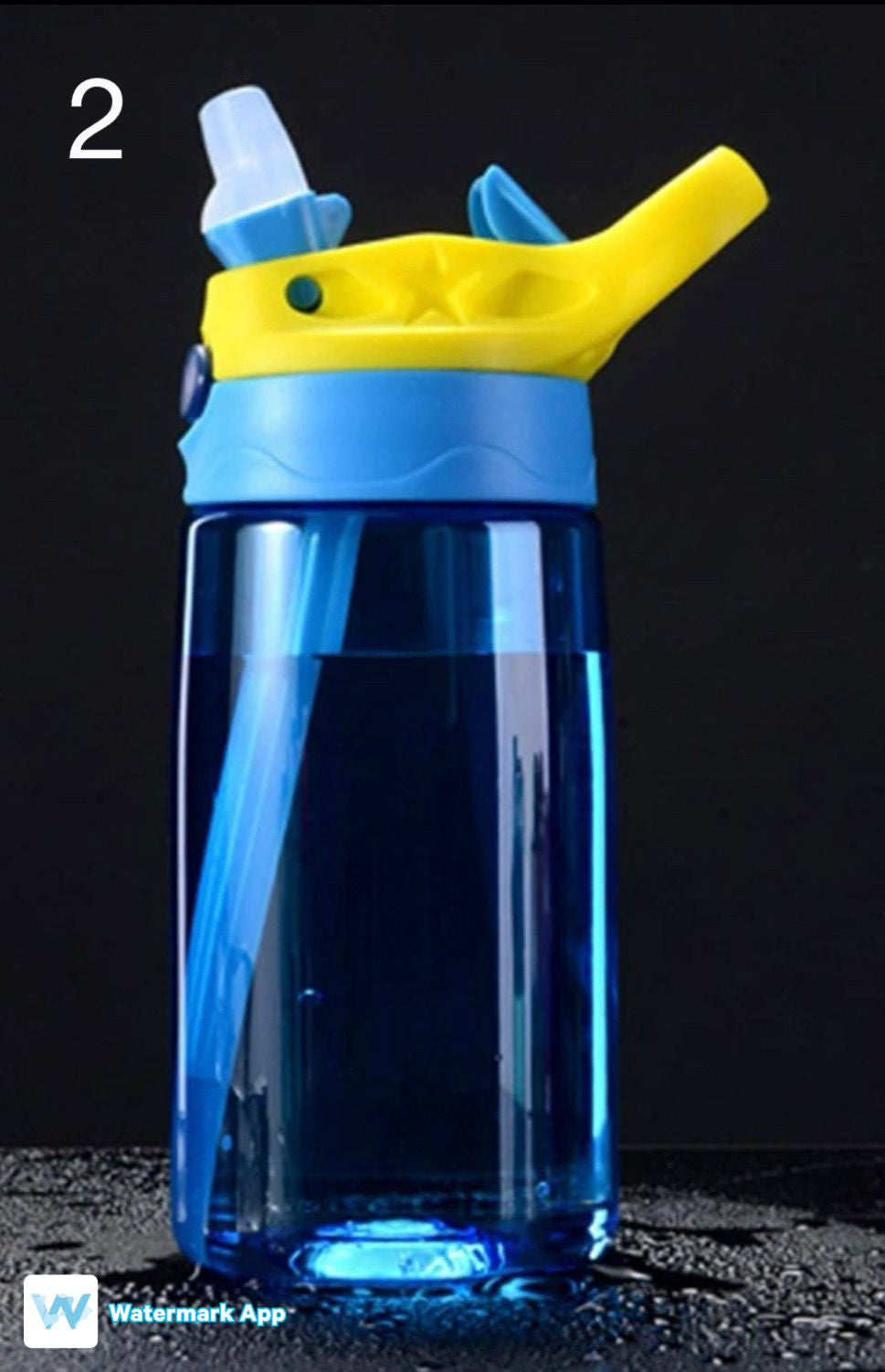 Multi Colour Water Bottle